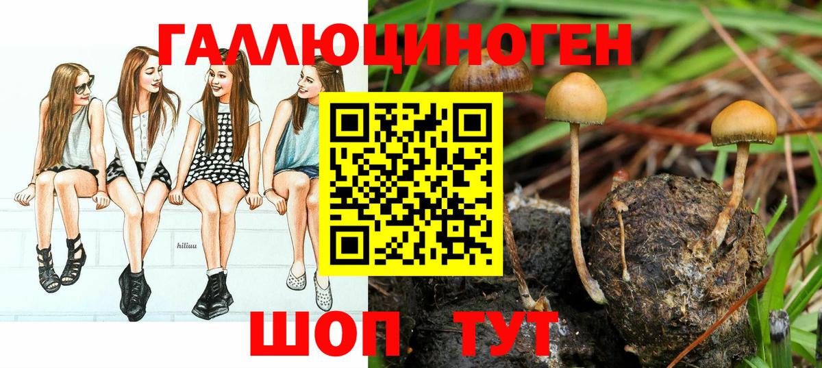 Котельники  Псилоцибиновые грибы мухоморы  Вход с VPN 