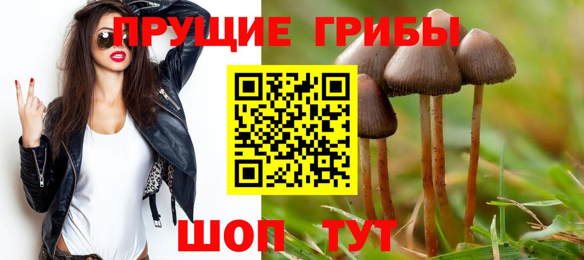 Галлюциногенные грибы Magic Shrooms Котельники